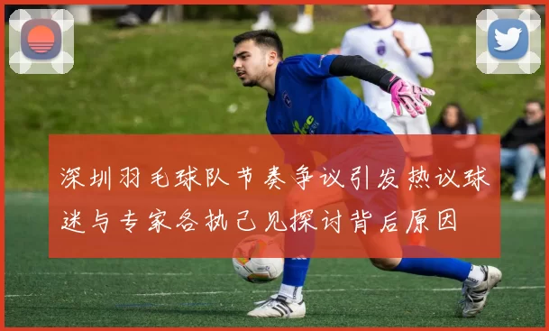 深圳羽毛球队节奏争议引发热议球迷与专家各执己见探讨背后原因