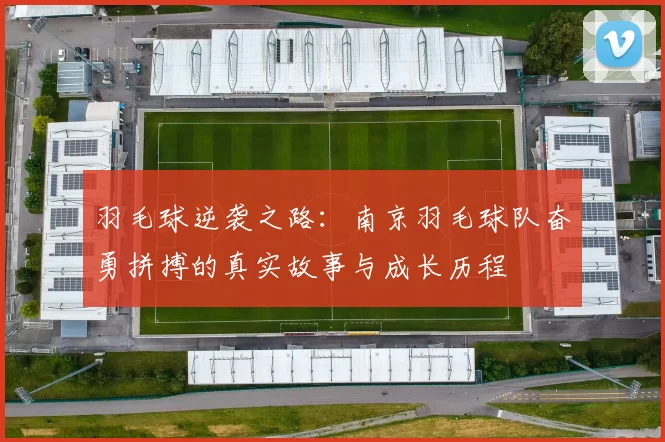 羽毛球逆袭之路：南京羽毛球队奋勇拼搏的真实故事与成长历程