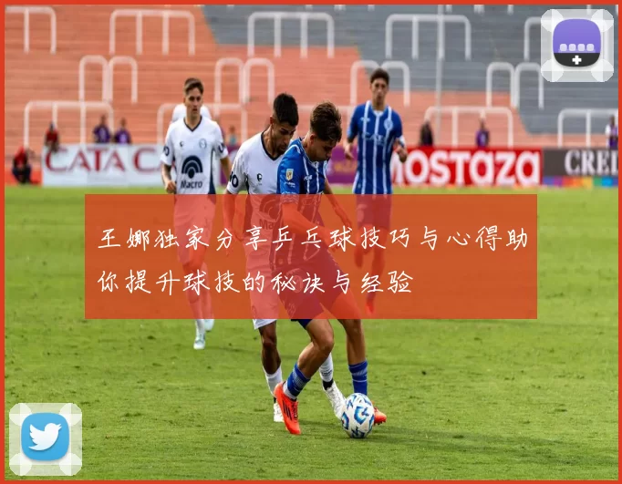 王娜独家分享乒乓球技巧与心得助你提升球技的秘诀与经验