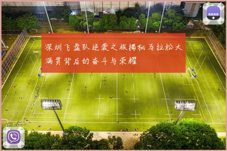 深圳飞盘队逆袭之旅揭秘马拉松大满贯背后的奋斗与荣耀