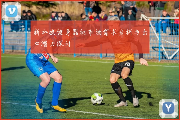 新加坡健身器材市场需求分析与出口潜力探讨