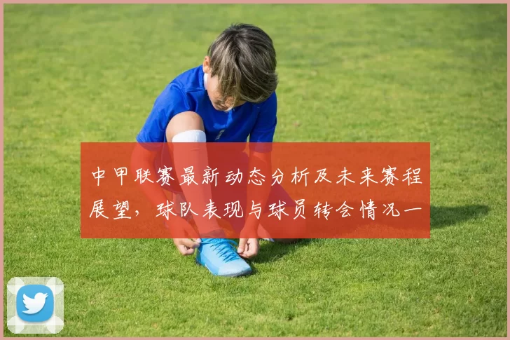 中甲联赛最新动态分析及未来赛程展望，球队表现与球员转会情况一览