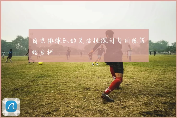 南京排球队的灵活性探讨与训练策略分析