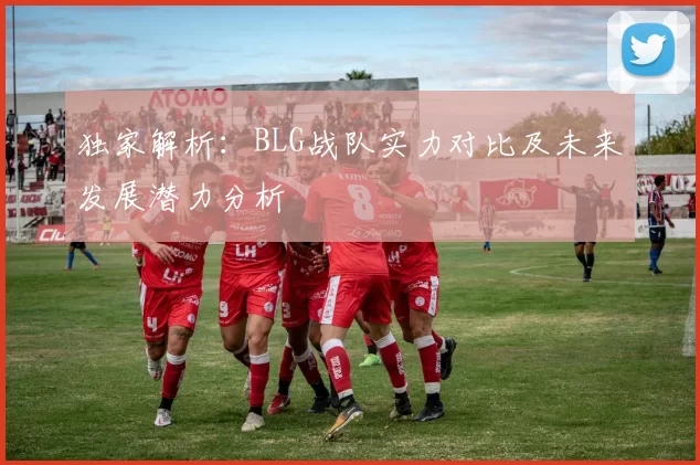 独家解析：BLG战队实力对比及未来发展潜力分析