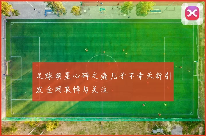 足球明星心碎之痛儿子不幸夭折引发全网哀悼与关注