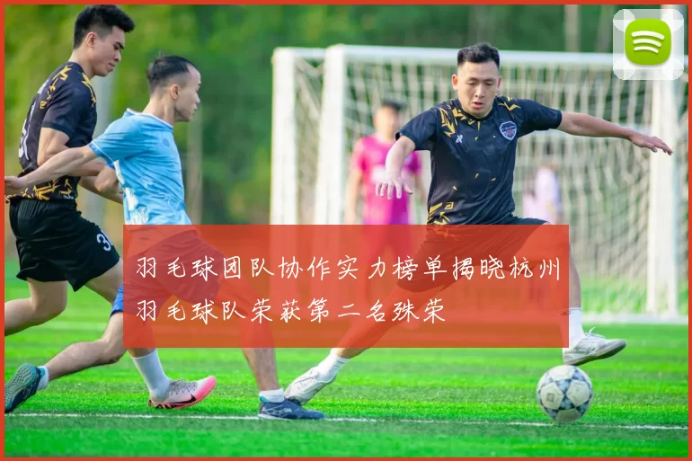 羽毛球团队协作实力榜单揭晓杭州羽毛球队荣获第二名殊荣