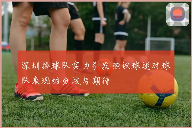深圳排球队实力引发热议球迷对球队表现的分歧与期待