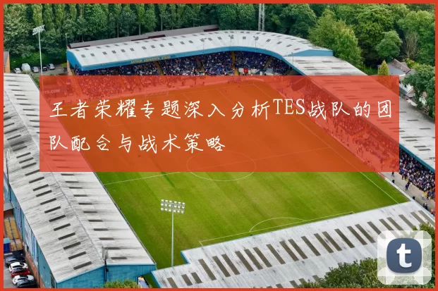 王者荣耀专题深入分析TES战队的团队配合与战术策略