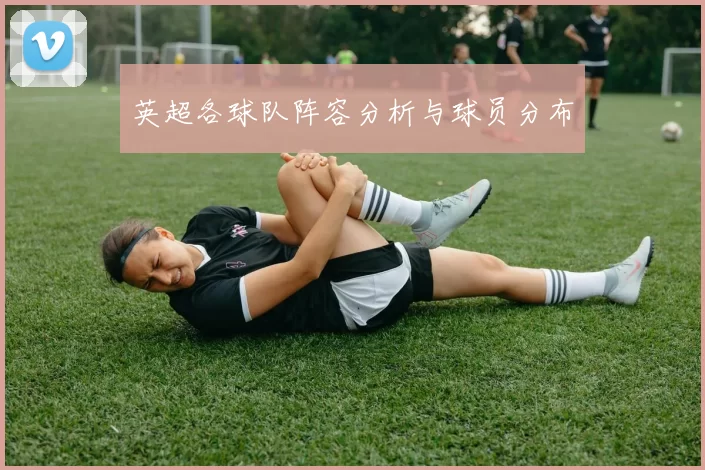 英超各球队阵容分析与球员分布