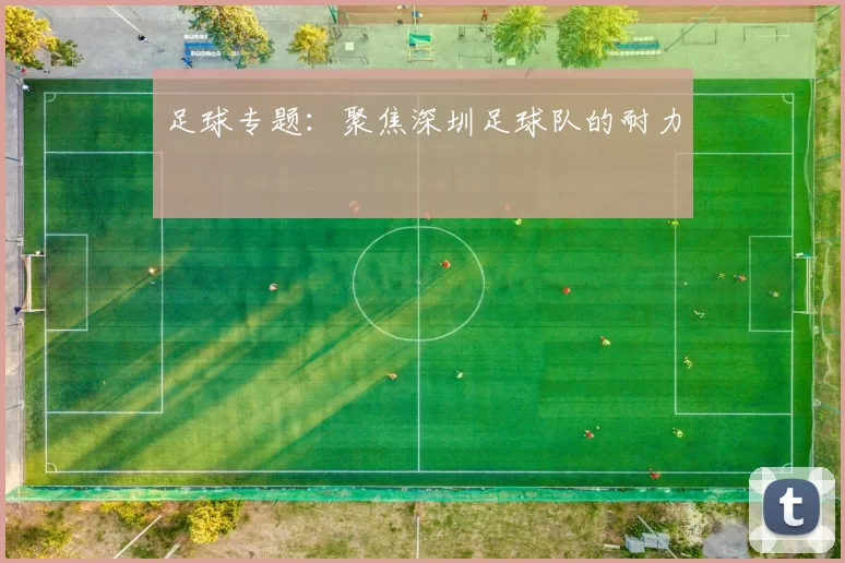 足球专题：聚焦深圳足球队的耐力