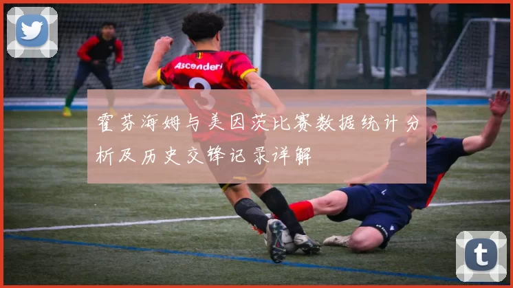 霍芬海姆与美因茨比赛数据统计分析及历史交锋记录详解