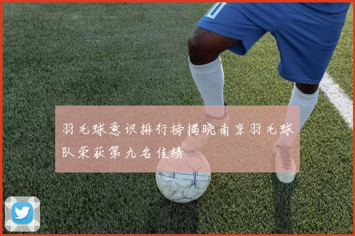 羽毛球意识排行榜揭晓南京羽毛球队荣获第九名佳绩