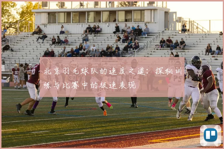 北京羽毛球队的速度之道：探秘训练与比赛中的极速表现