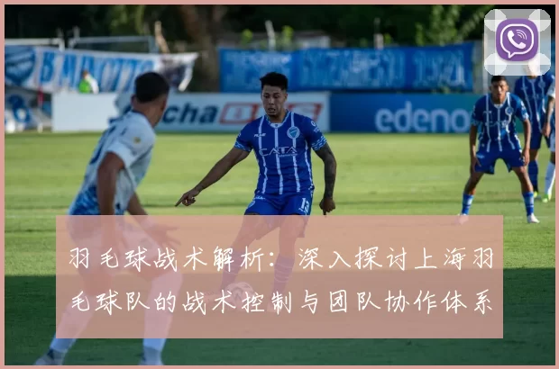 羽毛球战术解析：深入探讨上海羽毛球队的战术控制与团队协作体系