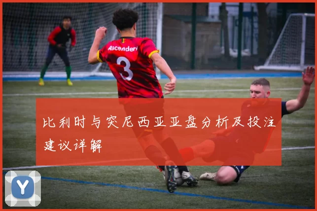 比利时与突尼西亚亚盘分析及投注建议详解